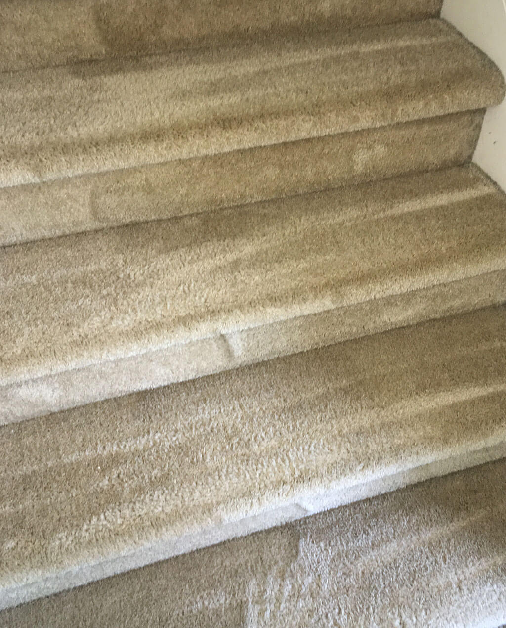 D and d carpet cleaning